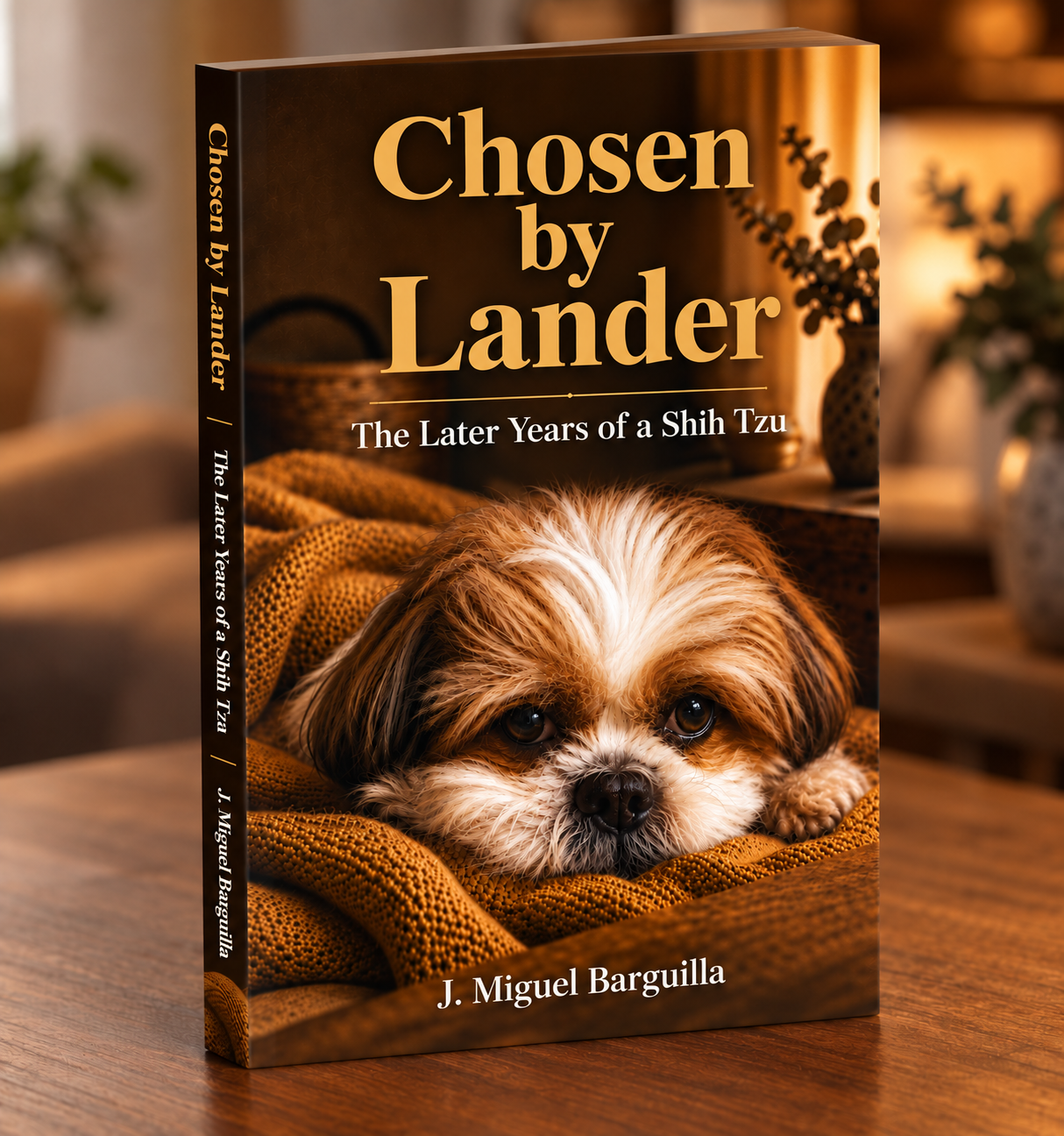 Book Preview
